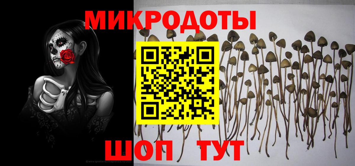 Галлюциногенные грибы ЛСД  Галлюциногенные грибы мицелий  Фрязино  Вход с VPN 